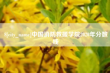 玉环中国消防救援学院2020年分数线