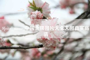 玉环中国金牌图片大全大图真实高清