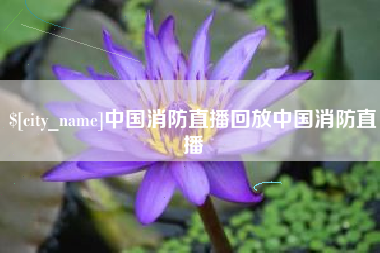 玉环中国消防直播回放中国消防直播