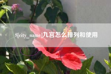 玉环九宫怎么排列和使用