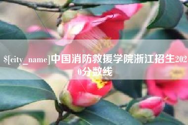玉环中国消防救援学院浙江招生2020分数线