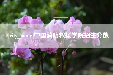玉环中国消防救援学院招生分数