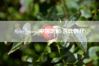 玉环中国地图(含比例尺)