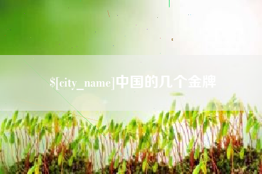 玉环中国的几个金牌