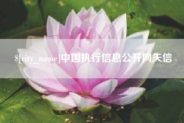 玉环中国执行信息公开网失信