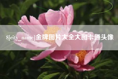 玉环金牌图片大全大图卡通头像
