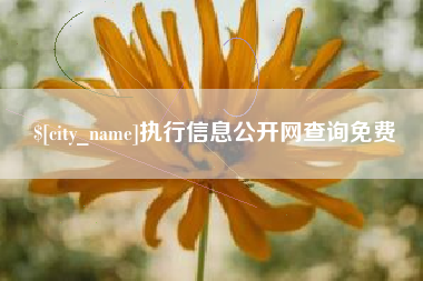 玉环执行信息公开网查询免费